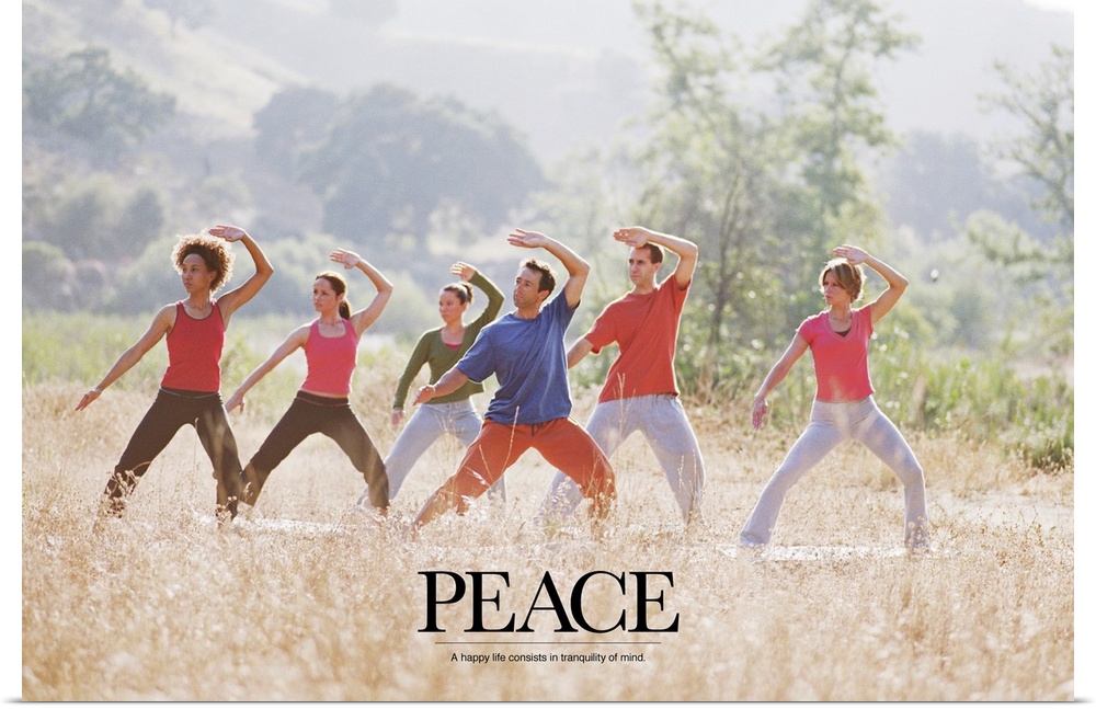 Uplifting poster with a group of people doing yoga and meditation exercises in a grassy field with a quote at the bottom.