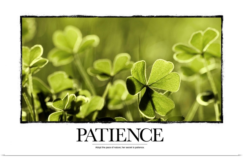 Patience: Adopt the pace of nature; her secret is patience.