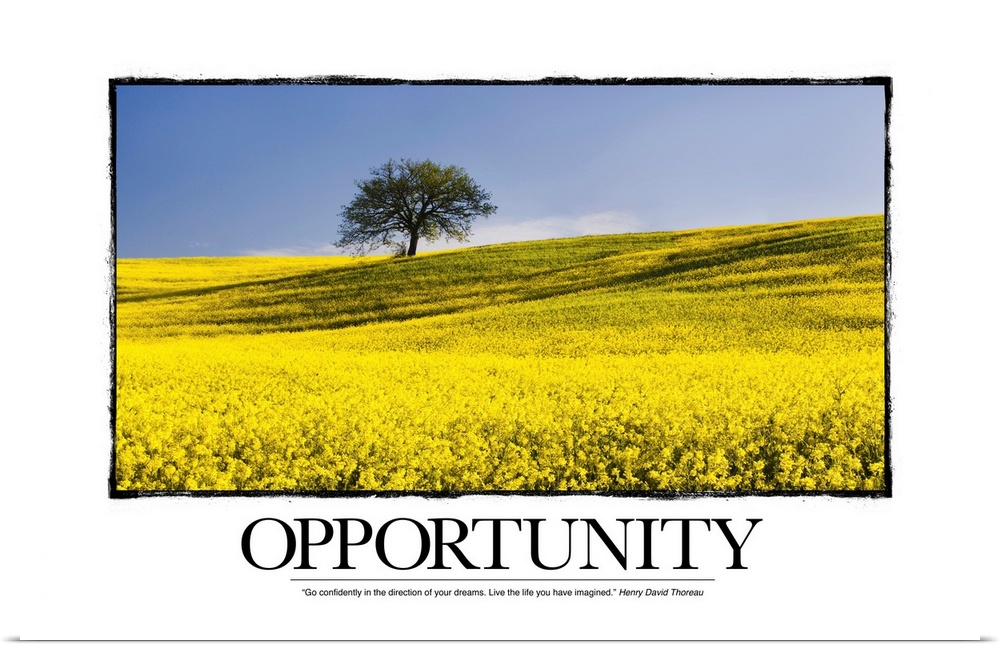 Opportunity: "Go confidently in the direction of your dreams. Live the life you have imagined." -Henry David Thoreau