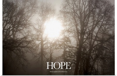 Inspirational Motivational Poster: Hope Shines brightest at the darkest hour