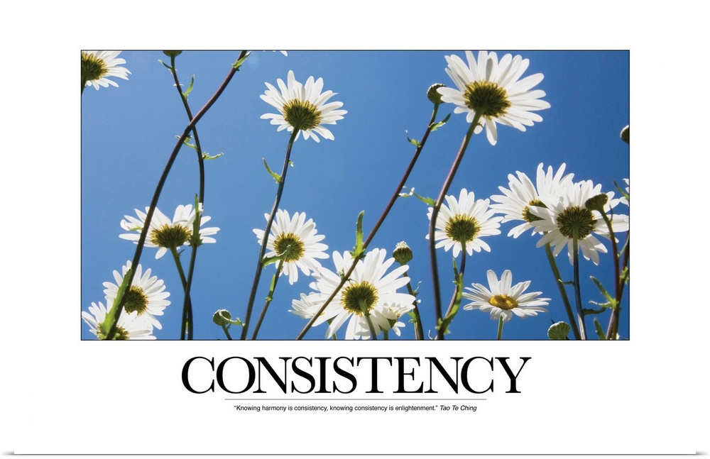 Consistency: Knowing harmony is consistency, knowing consistency is enlightenment. Tao Te Ching