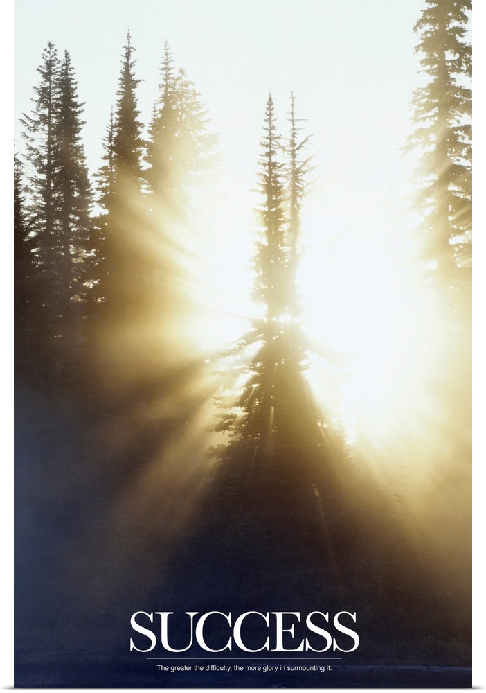This inspirational poster shows the sun shining through a forest of pine trees with the word "Success" written below in bo...