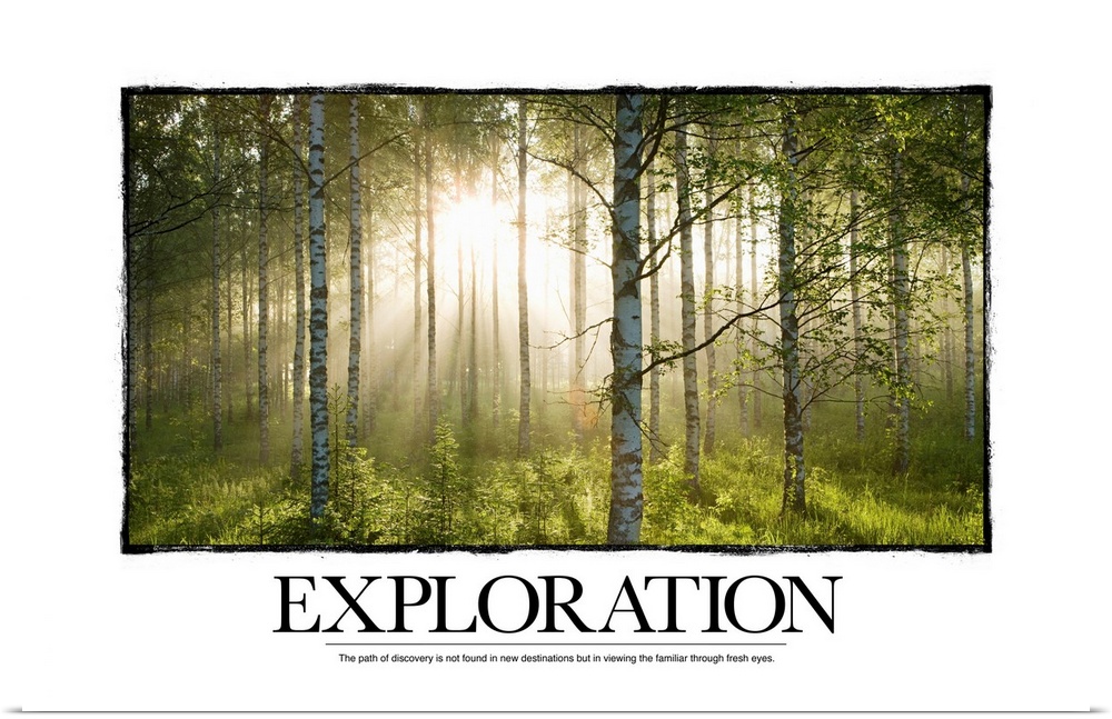 Big canvas print of a forest with a blinding sun shining through and text at the bottom.