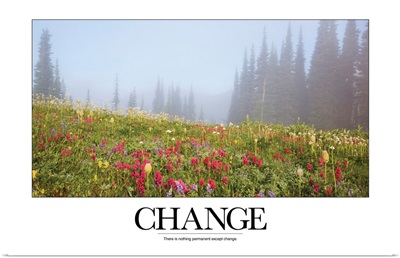 Inspirational Motivational Poster: There is nothing permanent except change