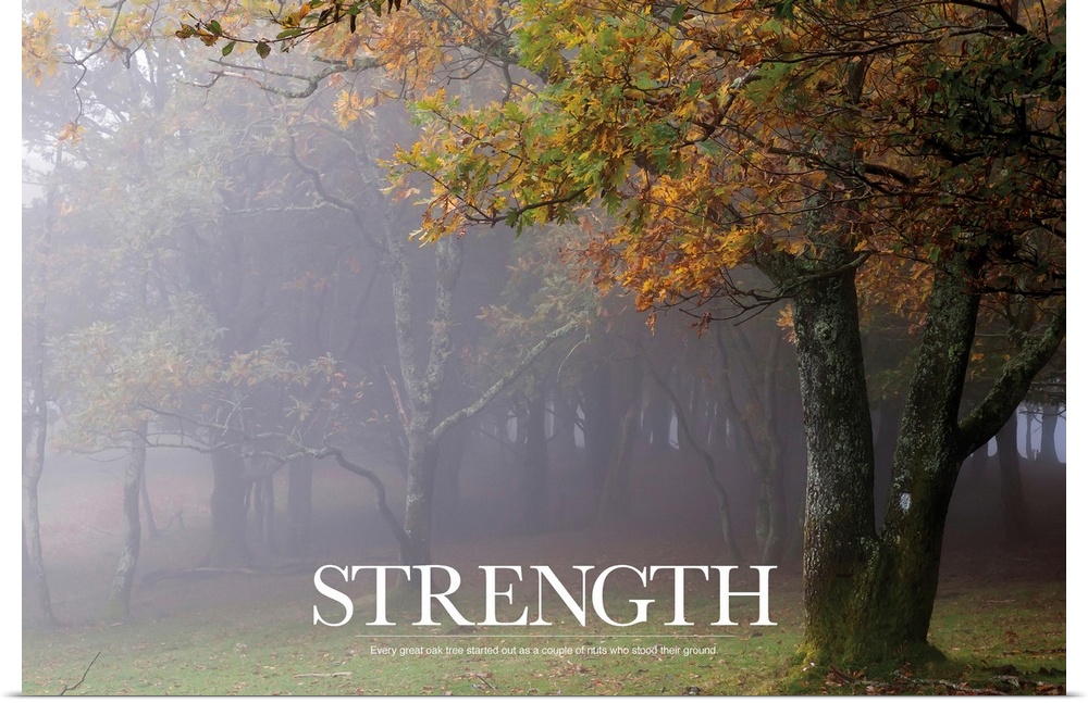 Large motivational art for the word "STRENGTH" lists a funny anecdote about being strong in one's life.  Artist places tex...