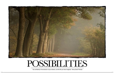 Inspirational Poster: Possibilities: Go confidently in the direction of your dreams.