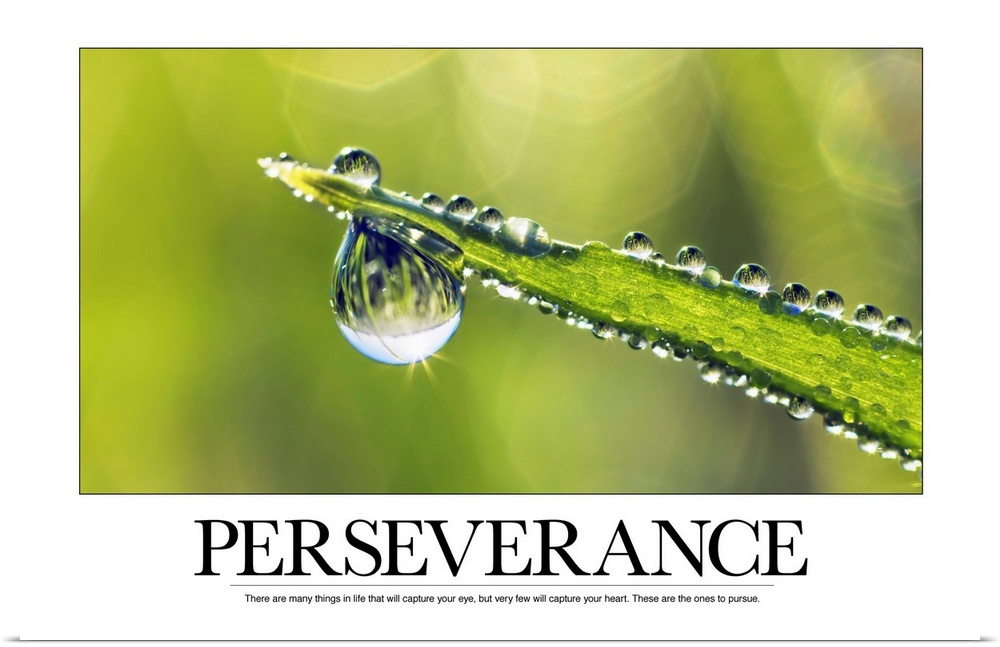 Perseverance: There are many things in life that will capture your eye, but very few will capture your heart. These are th...