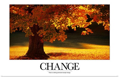 Inspirational Poster: There is nothing permanent except change
