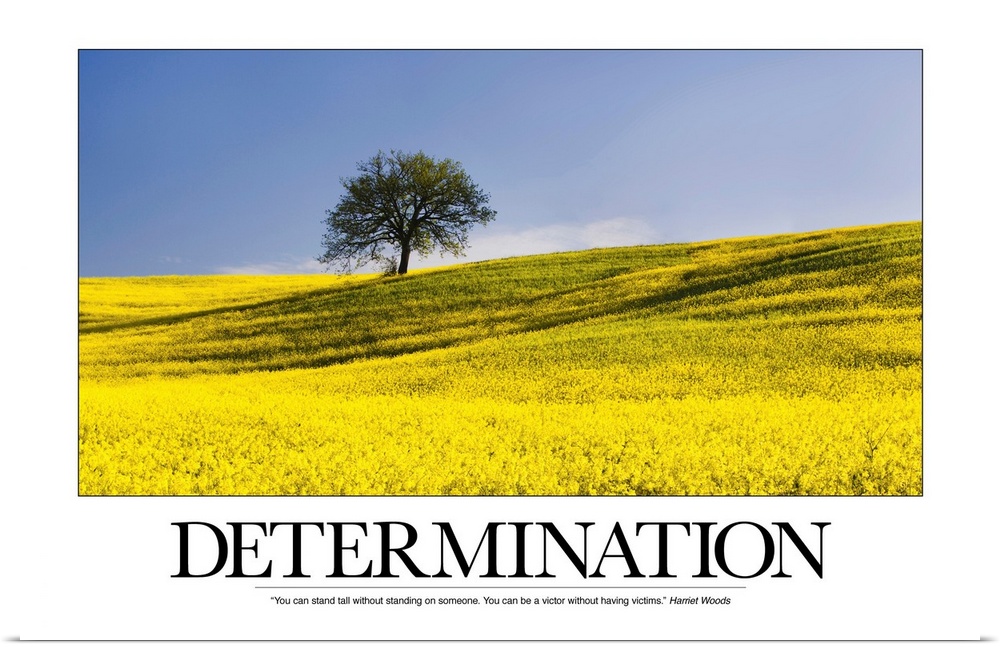 Determination: You can stand tall without standing on someone. You can be a victor without having victims.- Harriet Woods