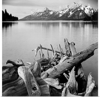 Jackson Lake With Teton Range, View Looking Southwest From North End Of The Lake