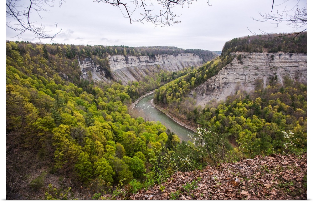 Landscape photograph of the Genesee River bend in Letchworth State Park, NY, surrounded by trees in all shades of green.