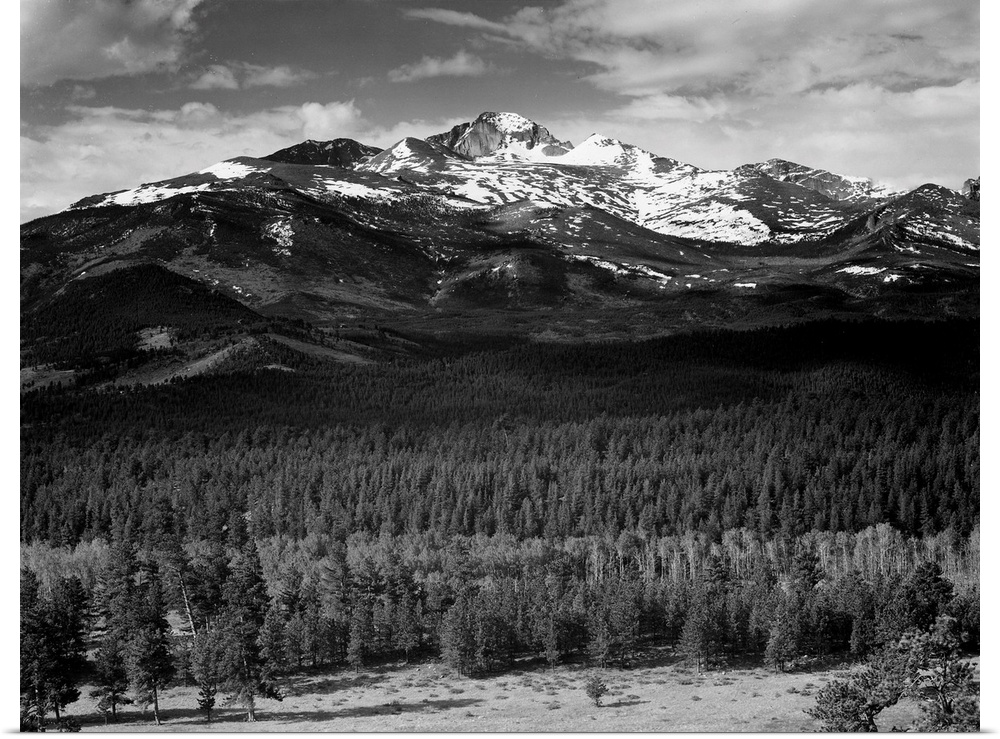 Long's Peak from North, Rocky Mountain National Park, trees in foreground, snow covered mountain in background.