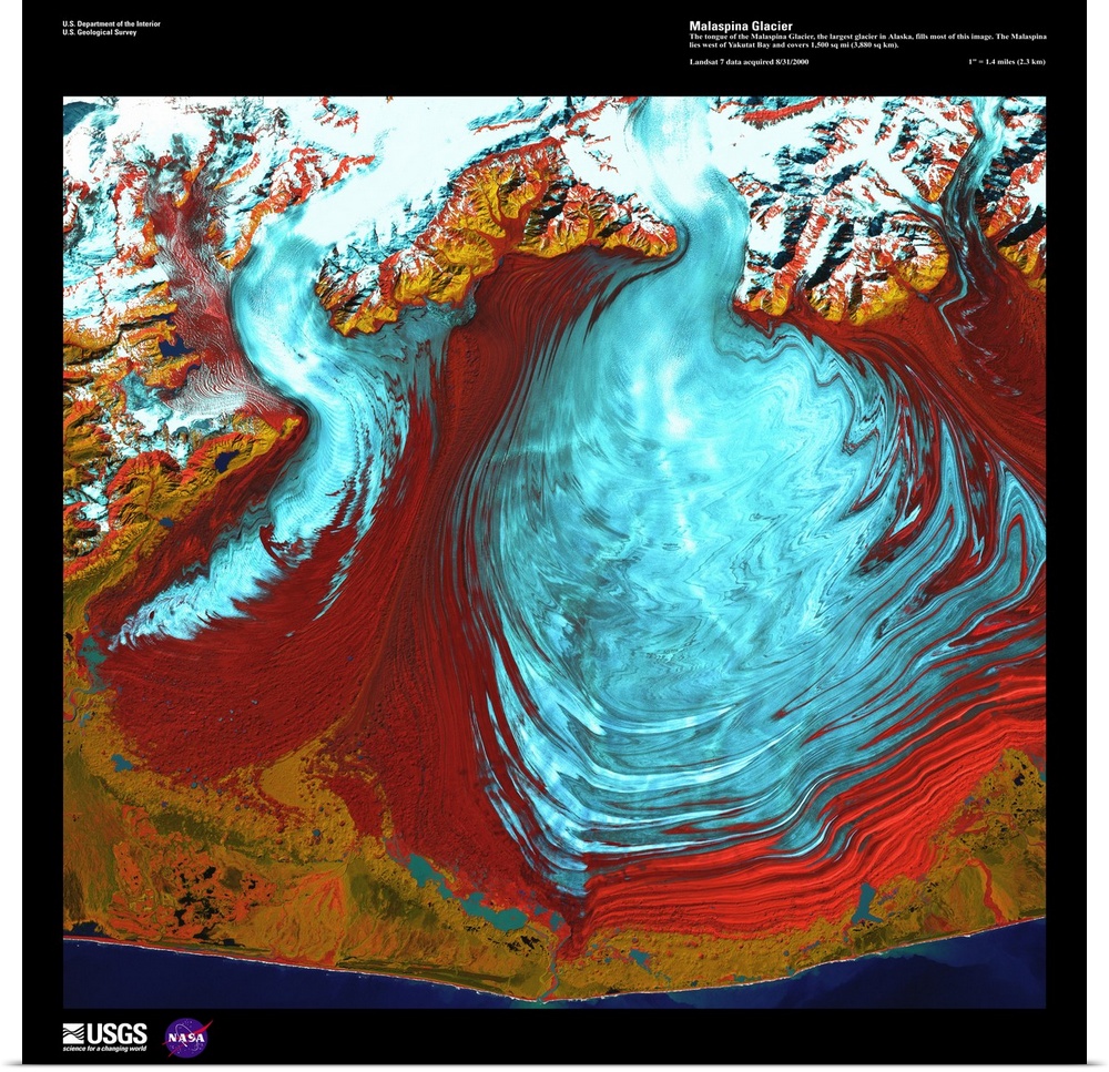 The tongue of the Malaspina Glacier, the largest glacier in Alaska, fills most of this image. The Malaspina lies west of Y...