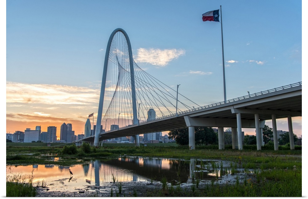 The Margaret Hunt Hill Bridge spans the Trinity River in Dallas, Texas.