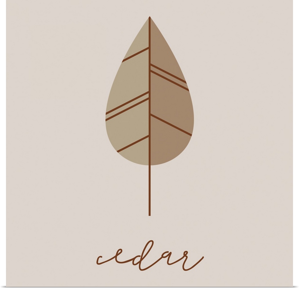 A modern illustration of a cedar leaf in brown on a grey background.