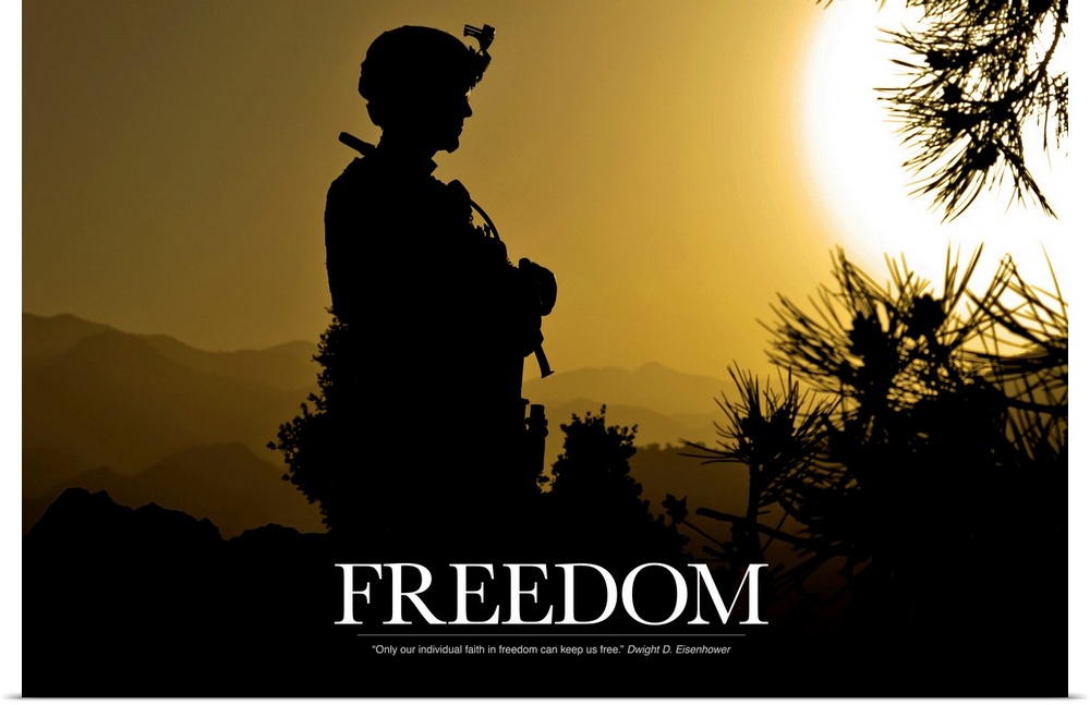 Inspirational artwork for freedom showing the silhouette of a standing soldier created by the setting sun with Dwigth D. E...