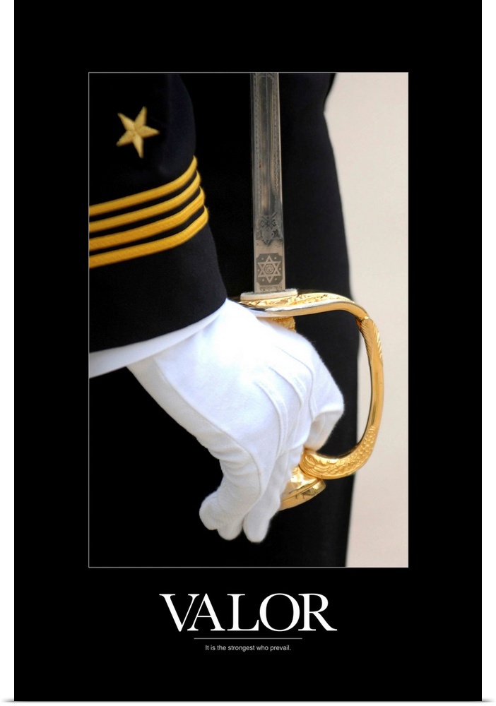 Military Poster: A U.S. Naval Academy midshipman stands at attention
