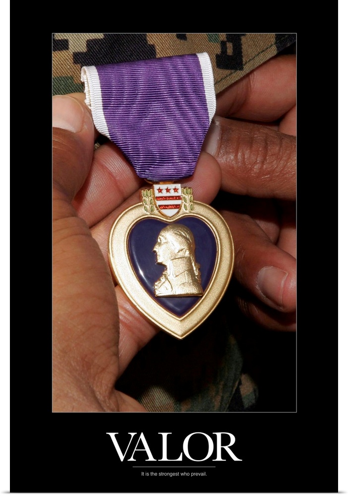Military Poster: Holding purple heart