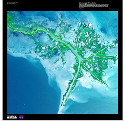 Mississippi River Delta - USGS Earth as Art