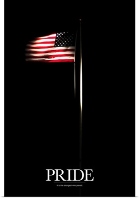 Motivational Poster: American flag