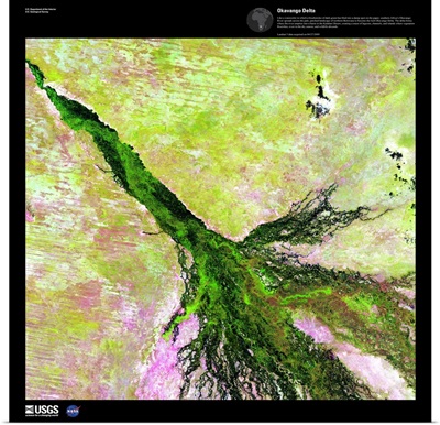 Okavango Delta - USGS Earth as Art