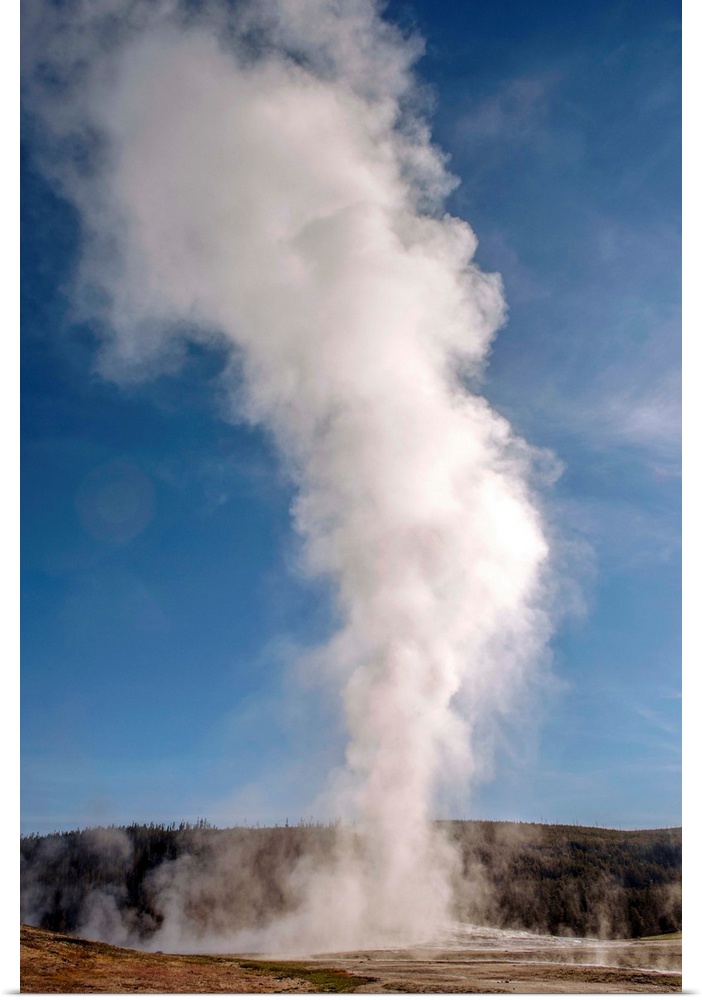 The famous geyser, Old Faithful erupts into a tower of steam at Yellowstone National Park.