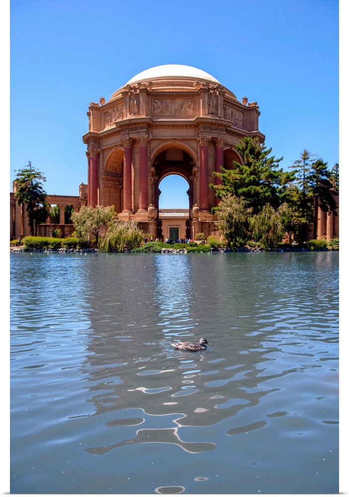 View of Greco-Roman style rotunda and colonnades with duck, Palace of Fine Arts in San Francisco, California.