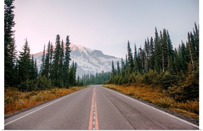 Paradise Valley Road, Mount Rainier National Park, Washington