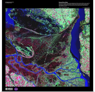 Parana River Delta - USGS Earth as Art