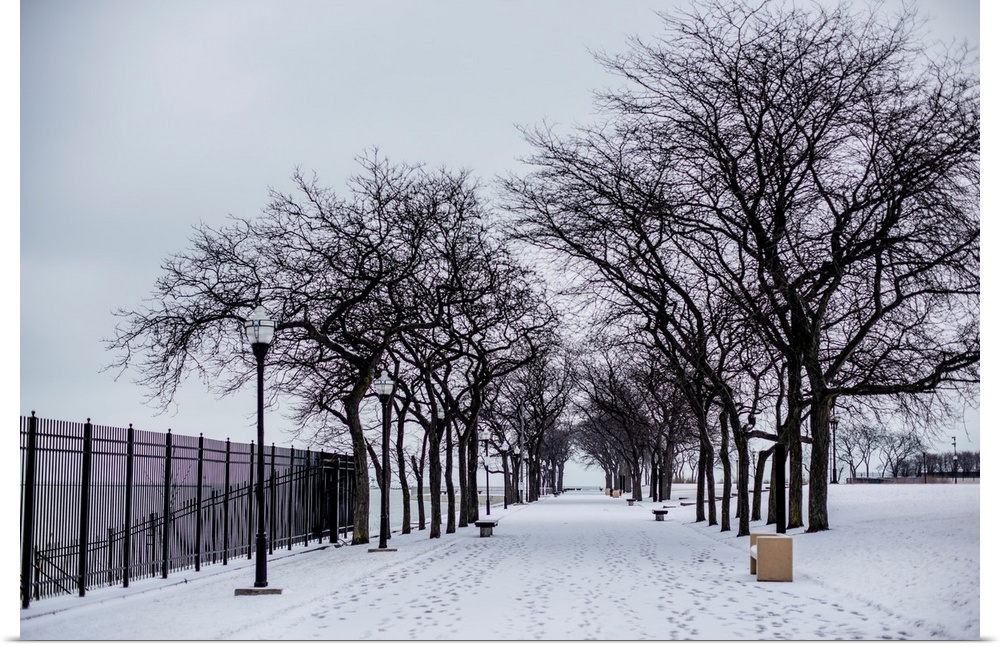 Photo of a snowy day in Chicago.