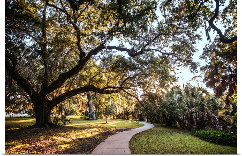 Old trees surround a walkway in a New Orleans park in Louisiana.