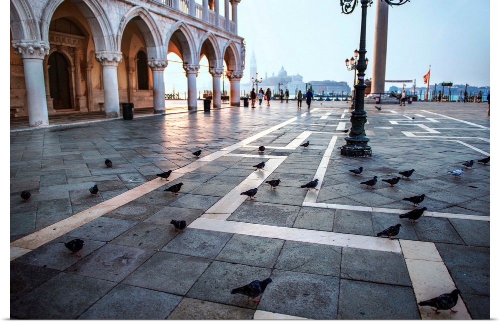 Photograph of the pigeons at St. Mark's square in Venice, Italy.