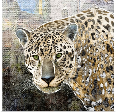 Pop Art - Jaguar