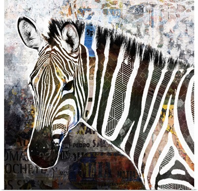 Pop Art - Zebra