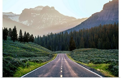 Road Through Yellowstone