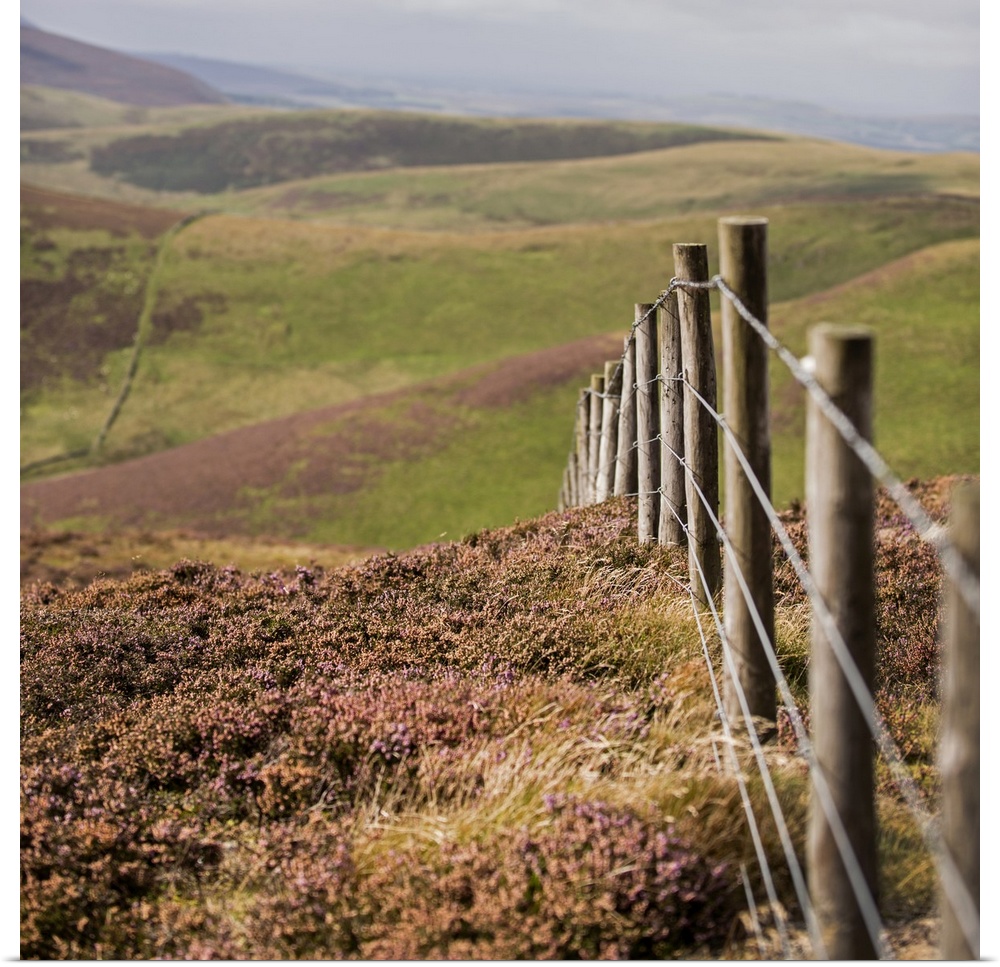 Square photograph of a fence running though rolling hills in an Edinburgh countryside, Scotland, UK