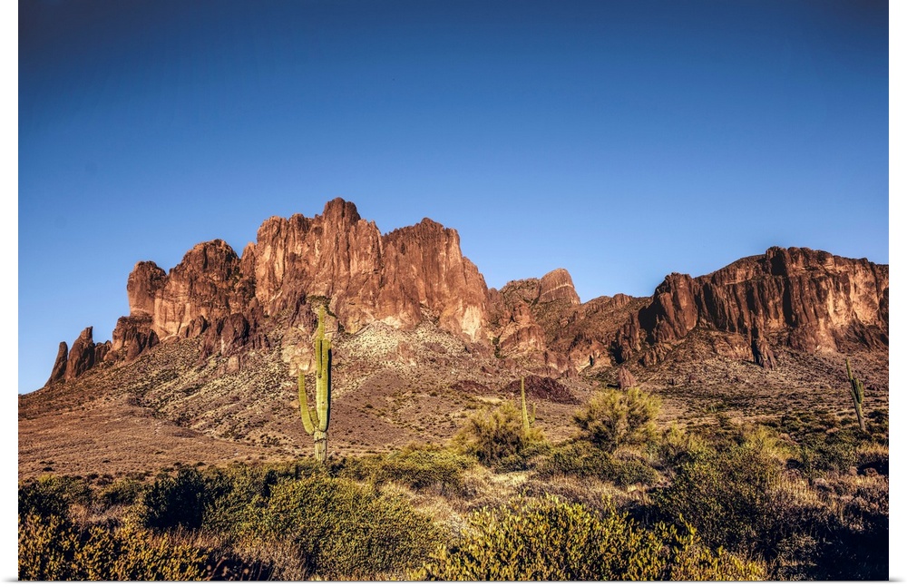 Saguaro cactus and Superstition mountain in Phoenix, Arizona.