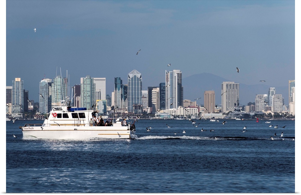 Photograph of a charter fishing boat on the Pacific Ocean with seagulls flying around it and the San Diego skyline in the ...