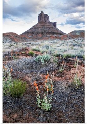 Sandstone Tower and Wildflowers, Arches National Park, Utah