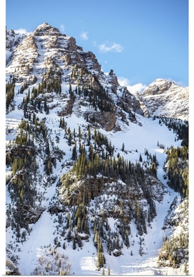 Snow and pine trees on the mountainside, Maroon Bells, Colorado