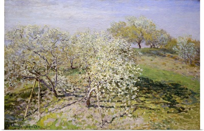 Spring (Fruit Trees in Bloom)