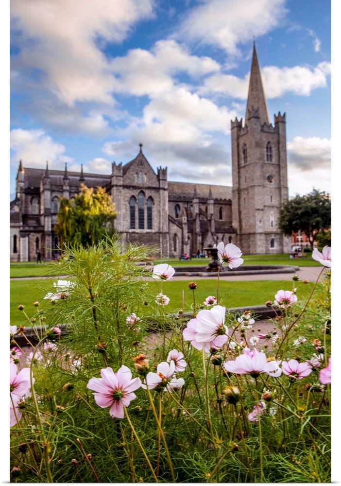 Photograph of St Patrick's Cathedral in Dublin, Ireland, with a field of pink and white wildflowers in the foreground.