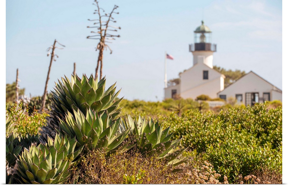 Lush succulents and grasses grow near Old Point Loma Lighthouse.