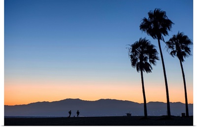 Sunset On Palm Trees And San Gabriel Mountains, Venice Beach, California