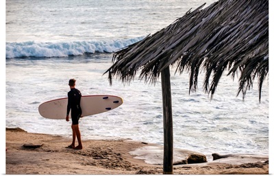 Surfer on Windansea Beach, San Diego, California