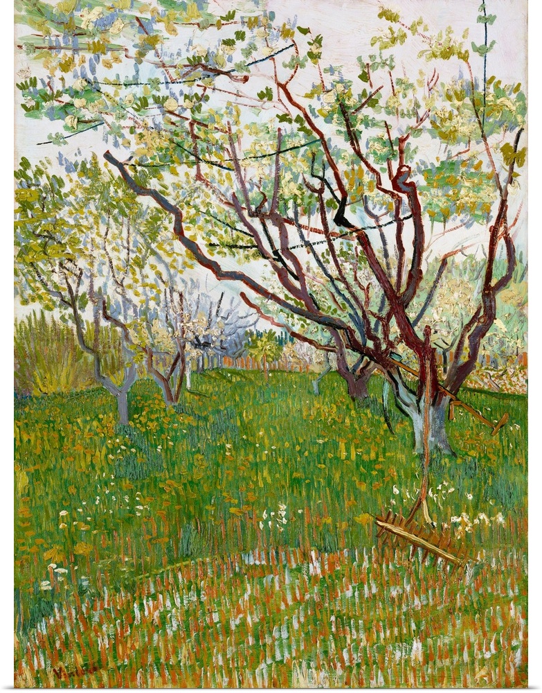 The arrival of spring in Arles in 1888 found Van Gogh in a fury of work. As he wrote to his brother Theo, the trees are in...