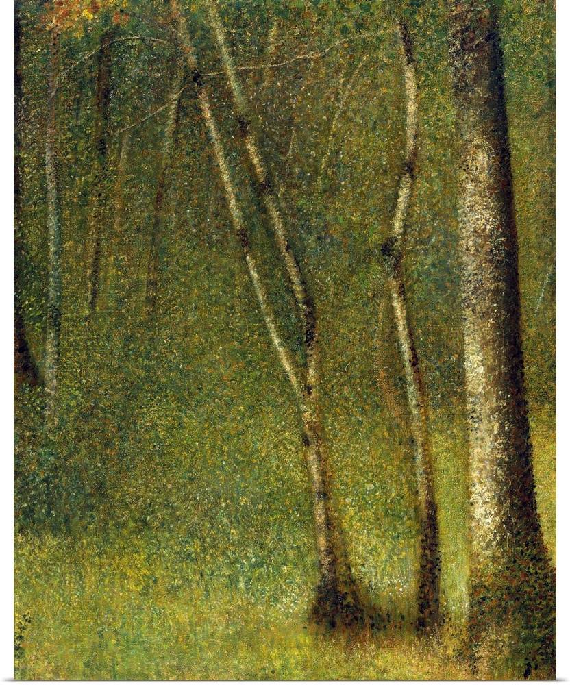 Seurat spent two months in the late summer and early fall of 1881 in Pontaubert, a village southeast of Paris once frequen...