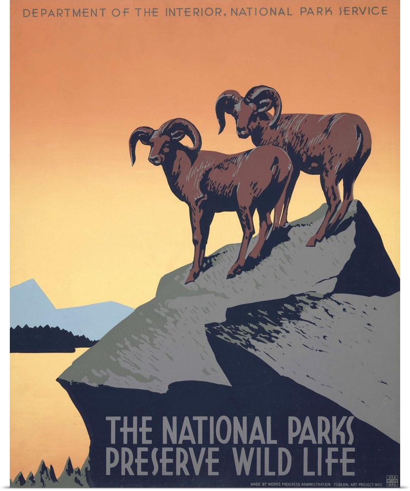 The national parks preserve wild life. Poster for National Park Service promoting travel to national parks, showing two bi...