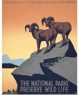 The National Parks Preserve Wild Life - WPA Poster