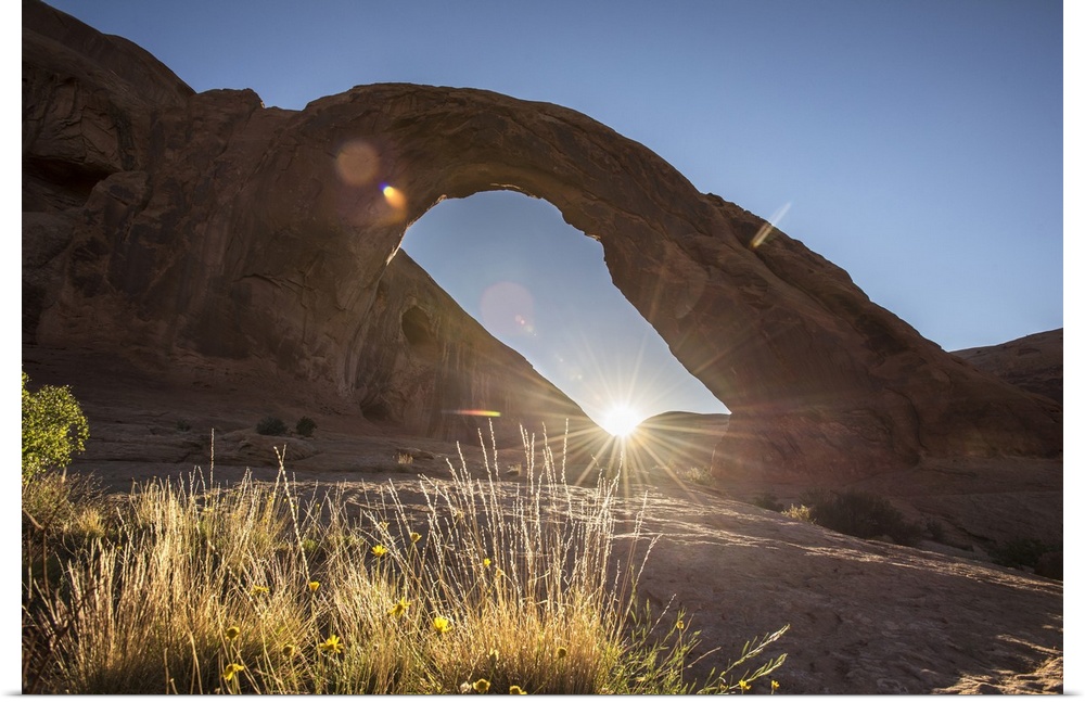 The sun peeking behind the Corona Arch illuminating the desert grasses in Arches National Park, Utah.